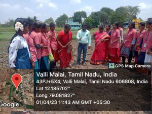 WhatsApp Image 2023-04-27 at 7.26.42 PM (1)